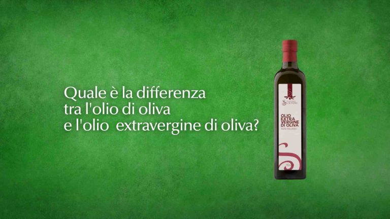 Scopri di più sull'articolo Quali sono le differenze tra olio d’oliva e olio EVO?