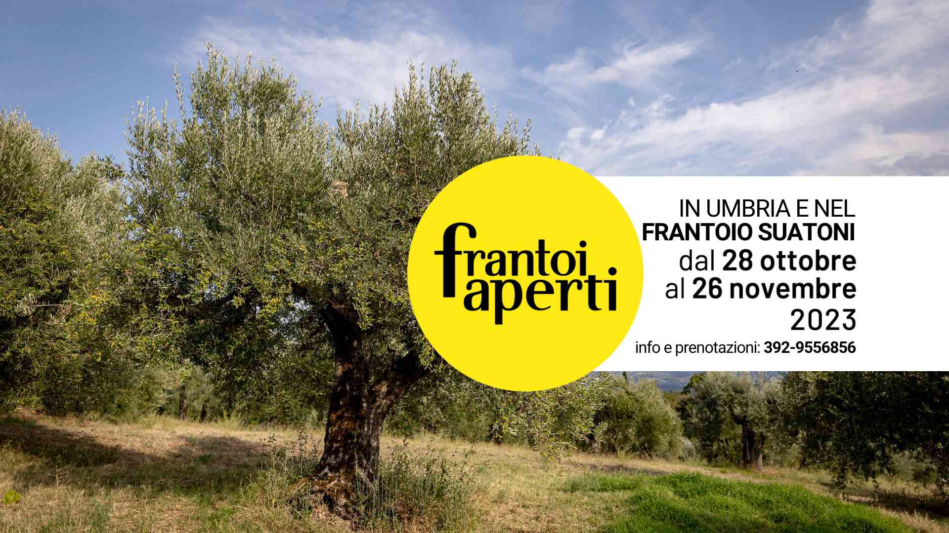 Scopri di più sull'articolo Frantoi Aperti in Umbria 2023 – Eventi Frantoio Suatoni e nel territorio